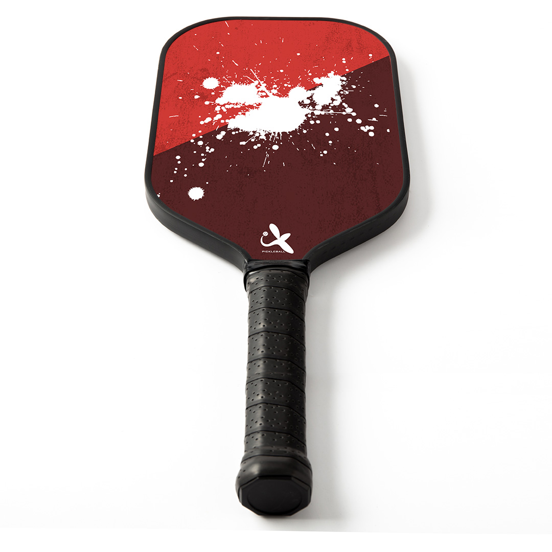 Pickleball Paddle With Long Handle
