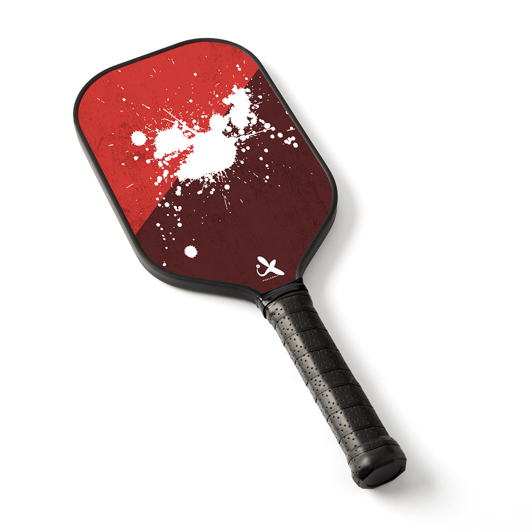 Pickleball Paddle With Long Handle